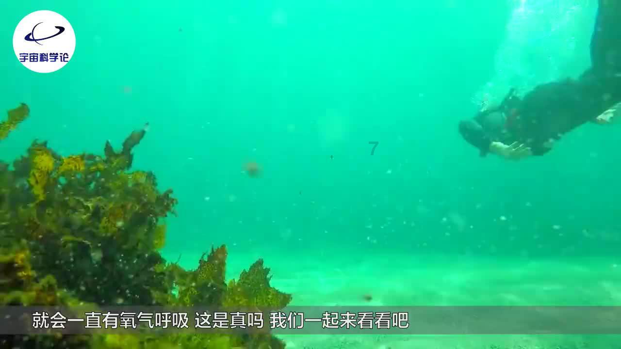 最全面的卫星视角俯瞰之下,中国的湿地辽阔壮美,我国湿地面积最多的是哪个省?问答网站